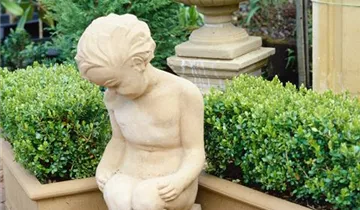 Zum Vergrößern klicken Bildvorschau