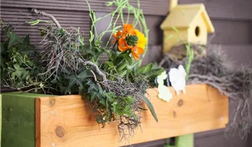 Zum Vergrößern klicken Bildvorschau